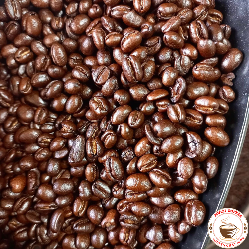 Cà phê hạt nguyên chất, cà phê hạt ROBUSTA 100%  Rang Bơ  ( 1KG )