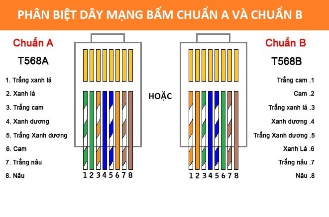 [ New Sale ] Thùng dây mạng LAN CAT 5E 305m - [ H3C Store ]