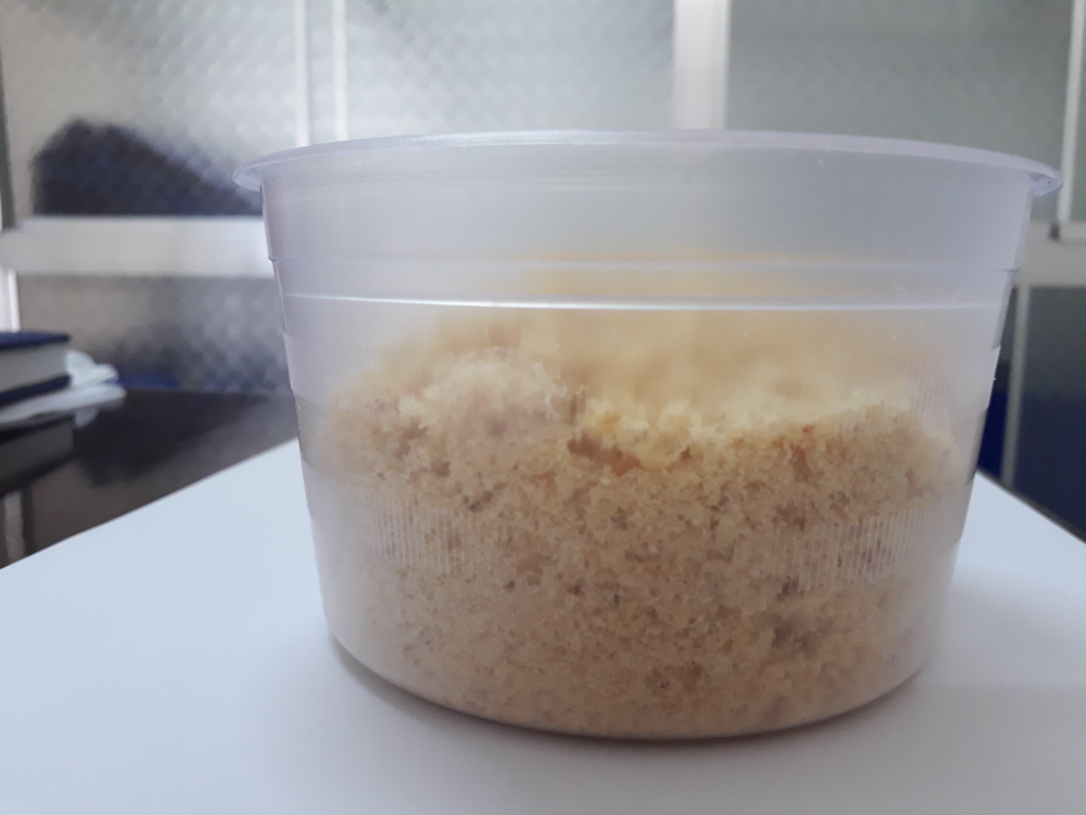 Chà bông (ruốc) cá lóc (cá chuối) cho bé ăn dặm ngon