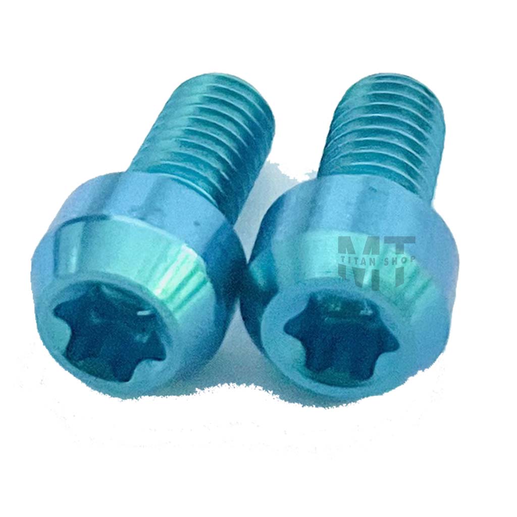 Ốc Titan GR5 Gắng Đĩa ABS Đầu Trụ -MTS