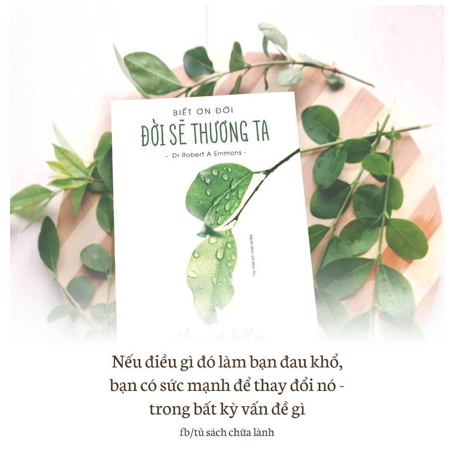 Biết Ơn Đời , Đời Sẽ Thương Ta