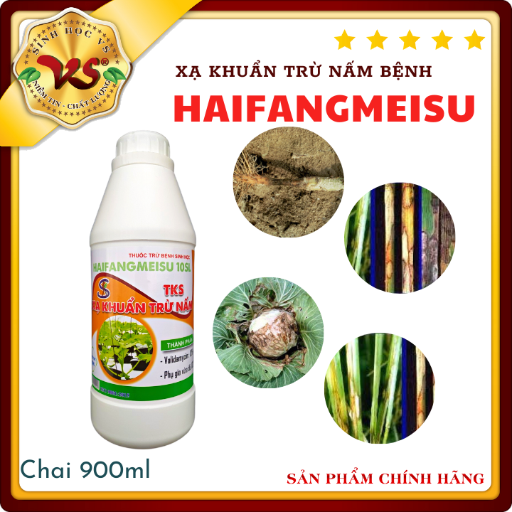 Xạ khuẩn Trừ Bệnh VALIDAMYCIN 10SL (10%)  Chai 900ml: thối nhũn dưa, thối rễ, héo xanh