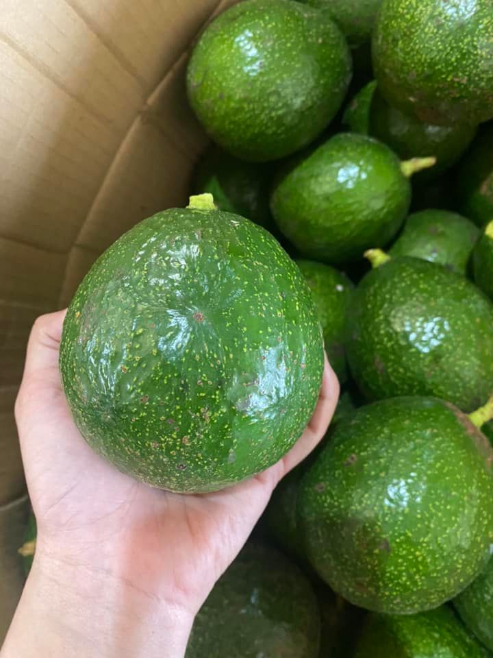 VG FARM Bơ Cắt Sẵn 200g/hôp