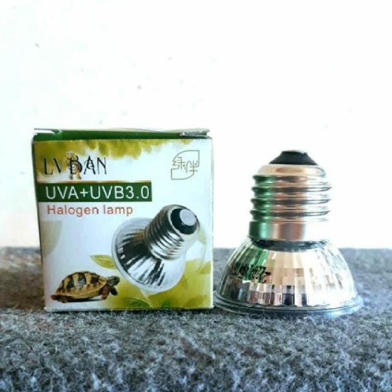 Đèn sưởi UVA + UVB cho bò sát 25W