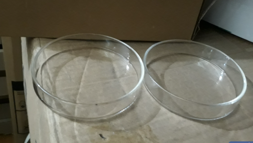 Hộp lồng Petri - Đĩa Petri thủy tinh