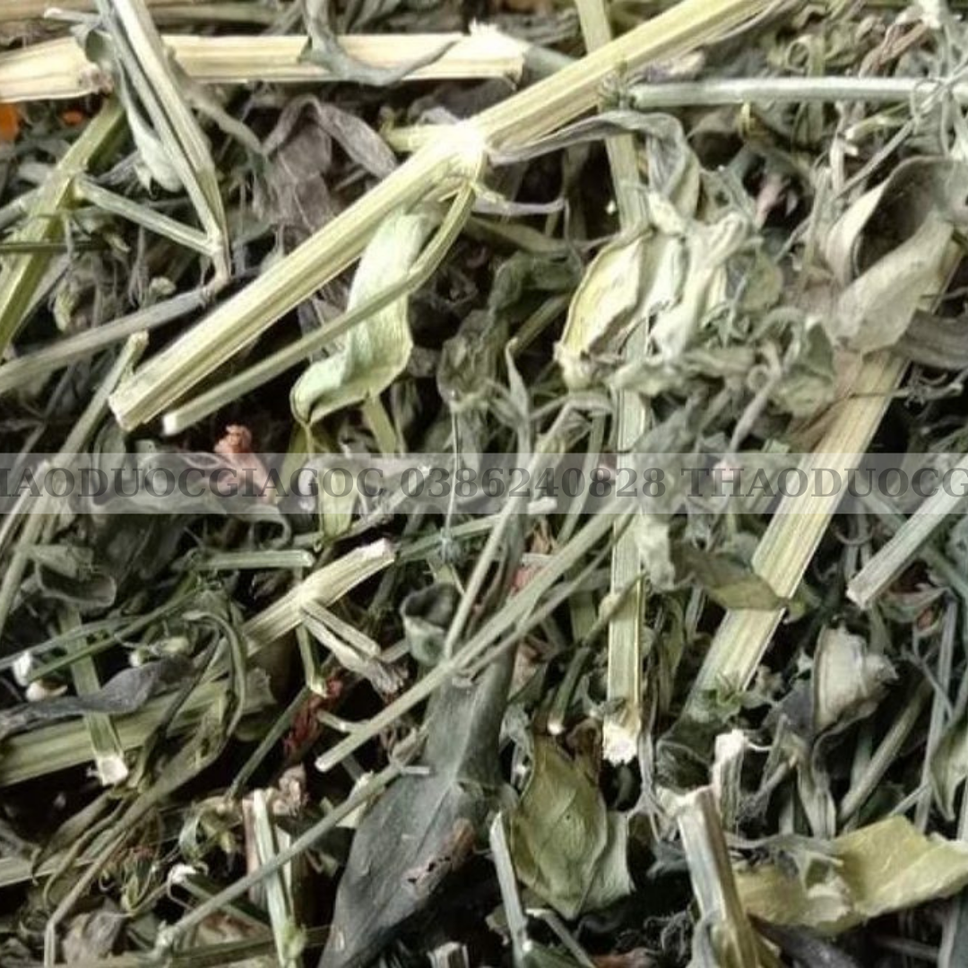 1kg cây xuyên tâm liên khô