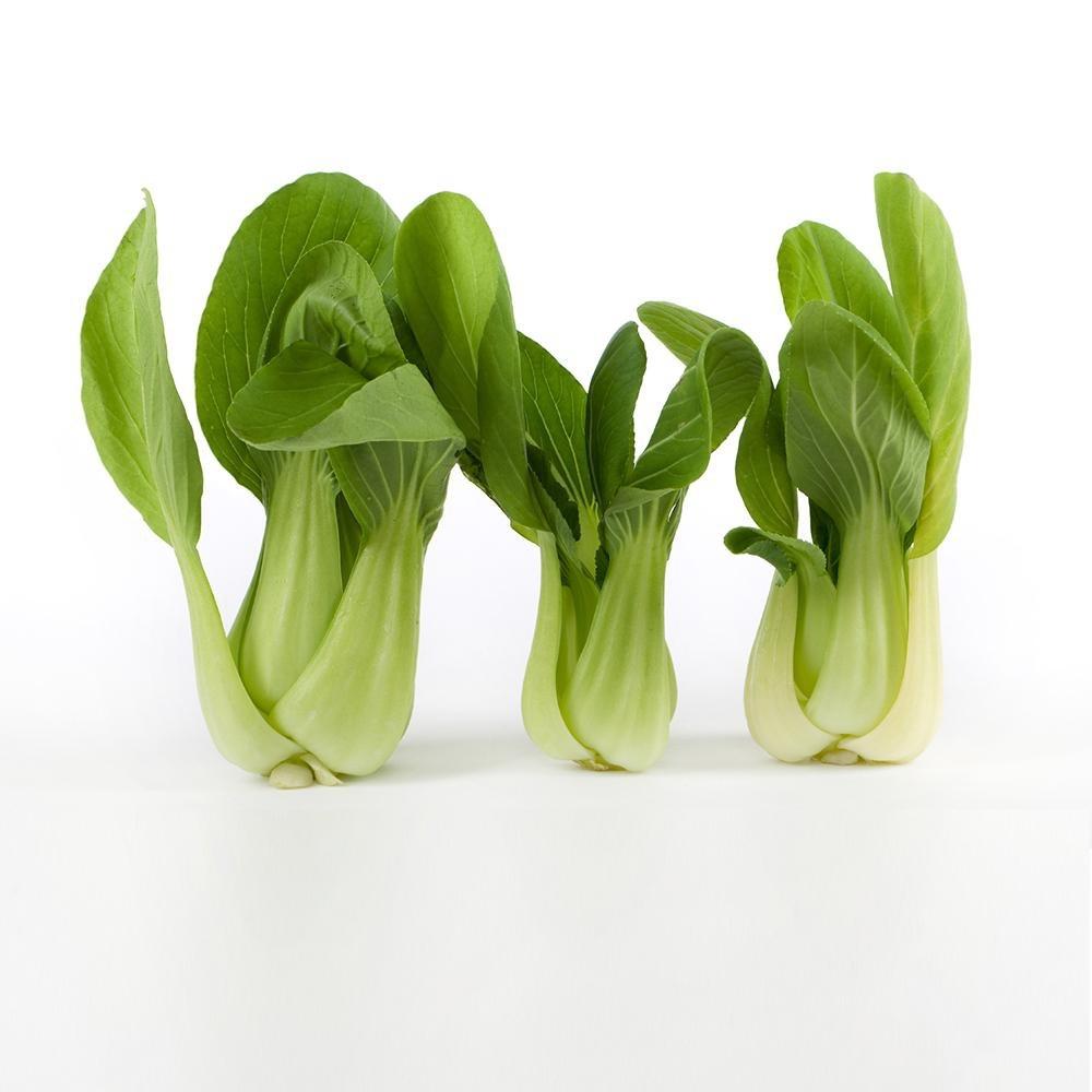 Hạt giống cải thìa (20gr) cải chíp Dễ Trồng Năng Suất Cao