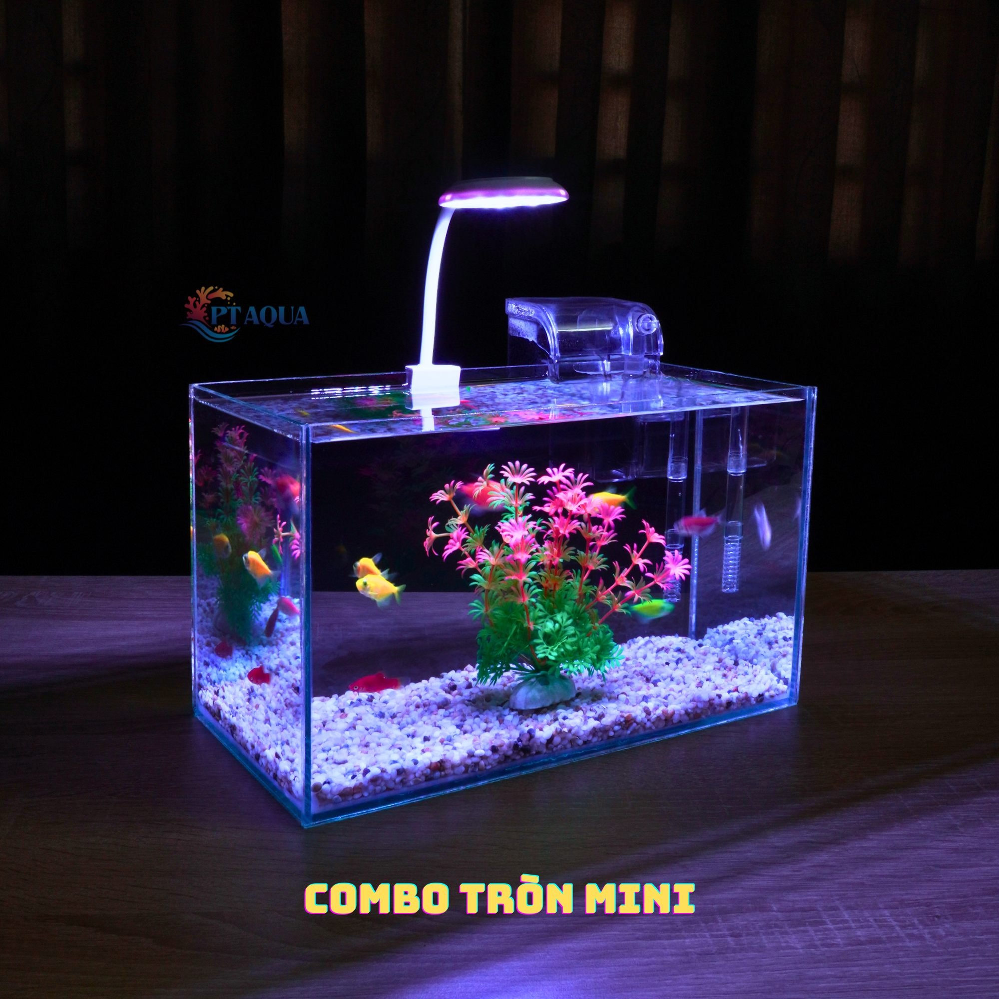 Bể cá mini FULL COMBO để bàn đầy đủ phụ kiện