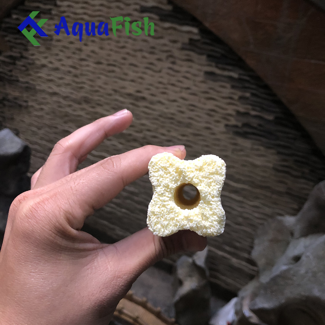[HOÀN TIỀN 10%]Combo 10 Sứ Thanh Hoa Mai Giúp Lọc Nước Bể Cá, Hồ Cá