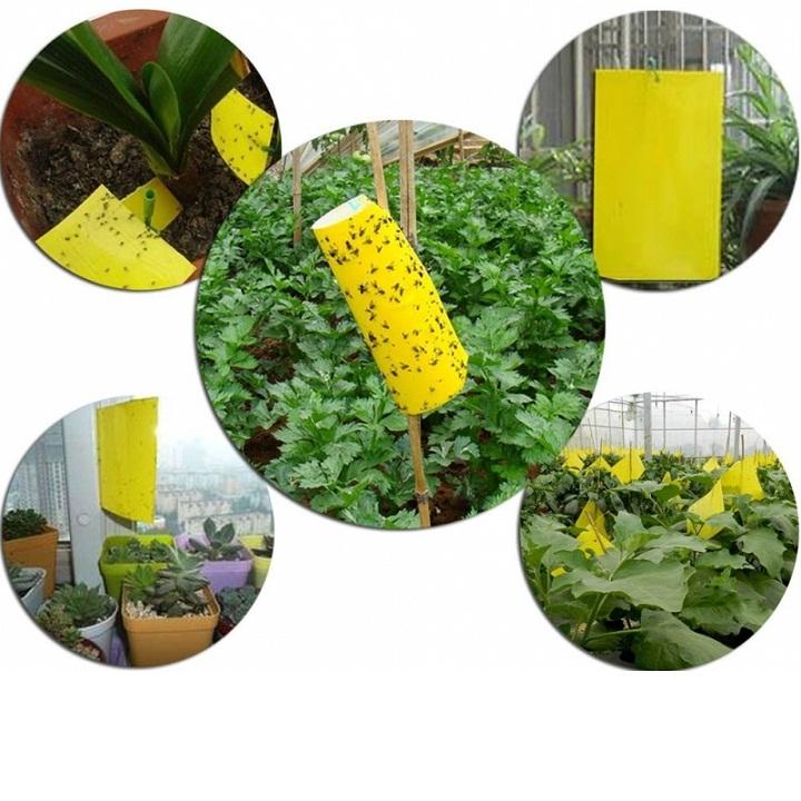 [HOT] 10 Miếng bẫy dính ruồi vàng 15x25cm