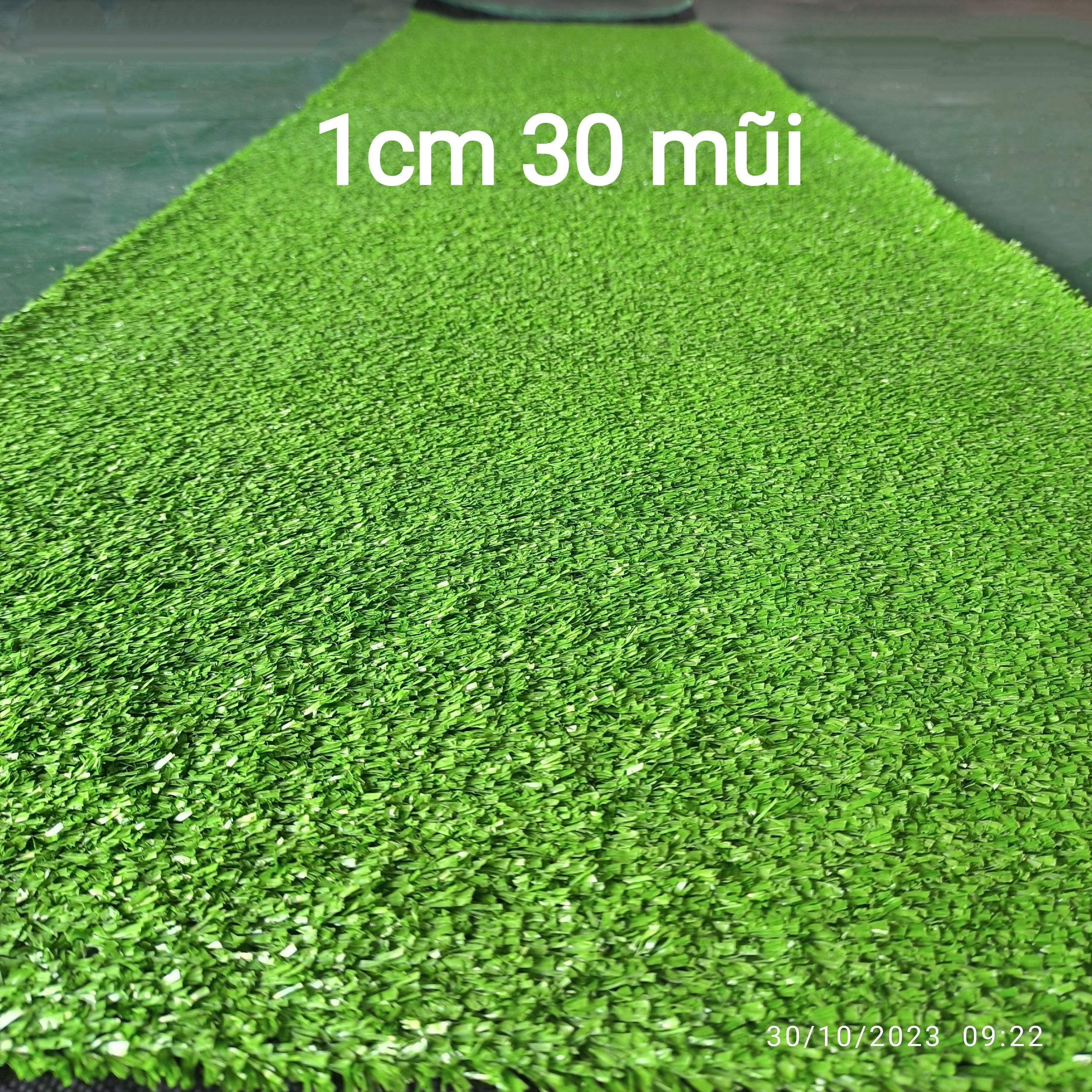 (1mét x 1mét) Thảm cỏ nhân tạo 1cm (quý khách đọc kỹ mô tả)