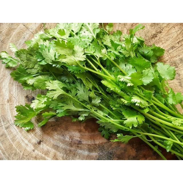 Hạt Giống Ngò Rí ( Rau Mùi ) 20gr