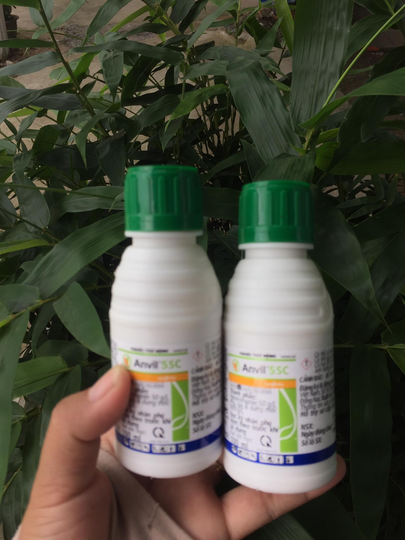 Thuốc trừ bệnh Anvil 5SC 100ml