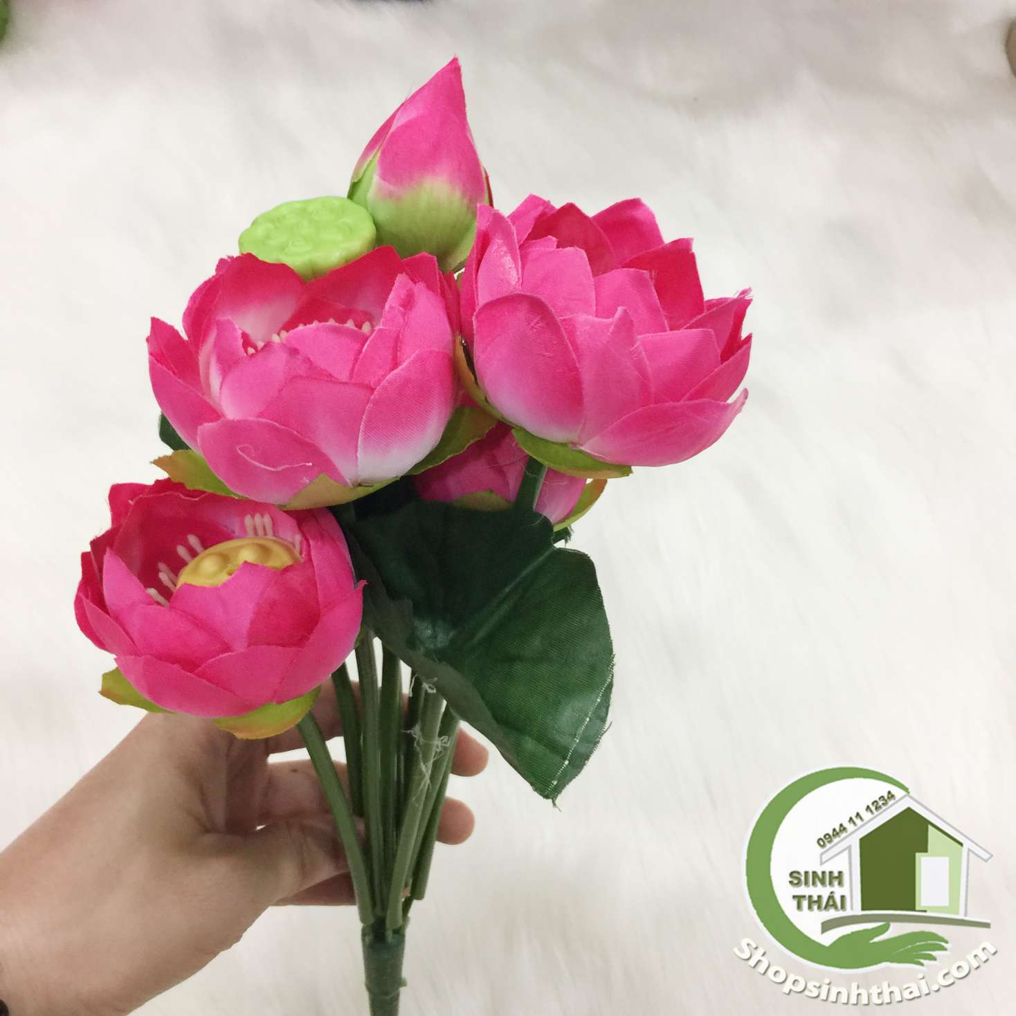 [HCM]Hoa Sen Giả - bụi sen nhỏ