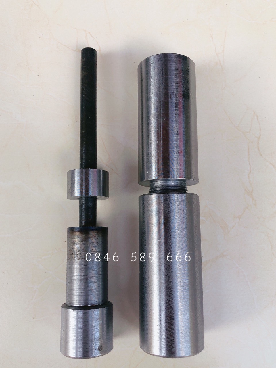 Vam Bạc Càng (cảo bạc gâp)