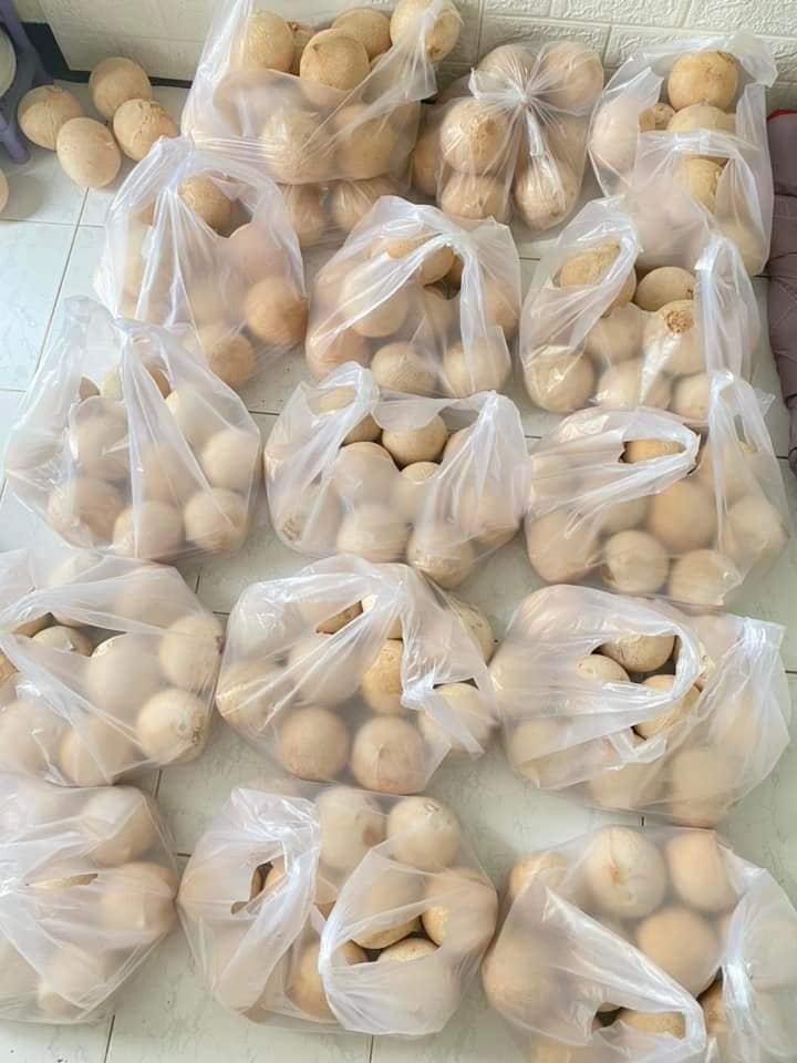 Dừa xiêm trọc Bến Tre