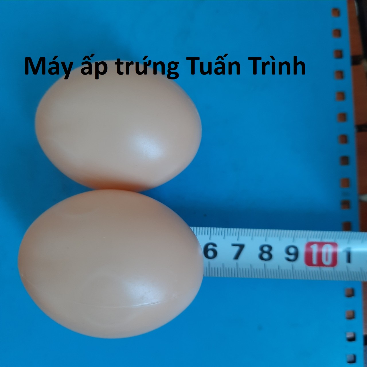 Trứng gà giả