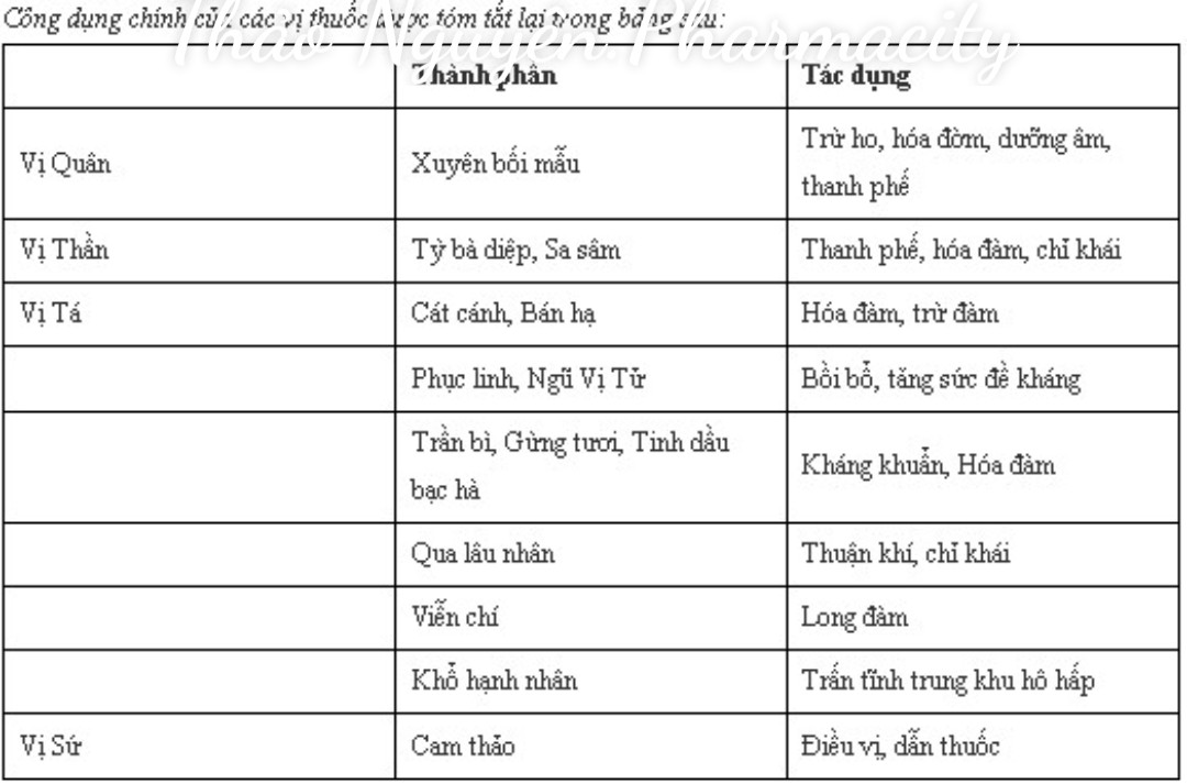 SIRO HO BẢO THANH chai 90ml