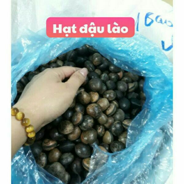 10 hạt đậu lào