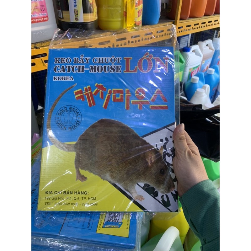 Keo Bẫy Chuột Lớn Catch Mouse Korea (1 Miếng) Đại Phát