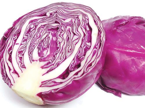 Hạt Giống Bắp Cải Tím F1