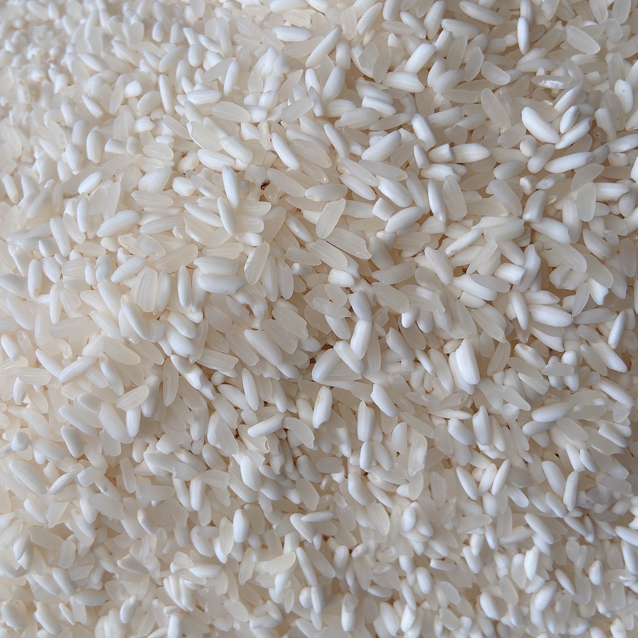 Gạo Nếp Lương Điện Biên 1kg