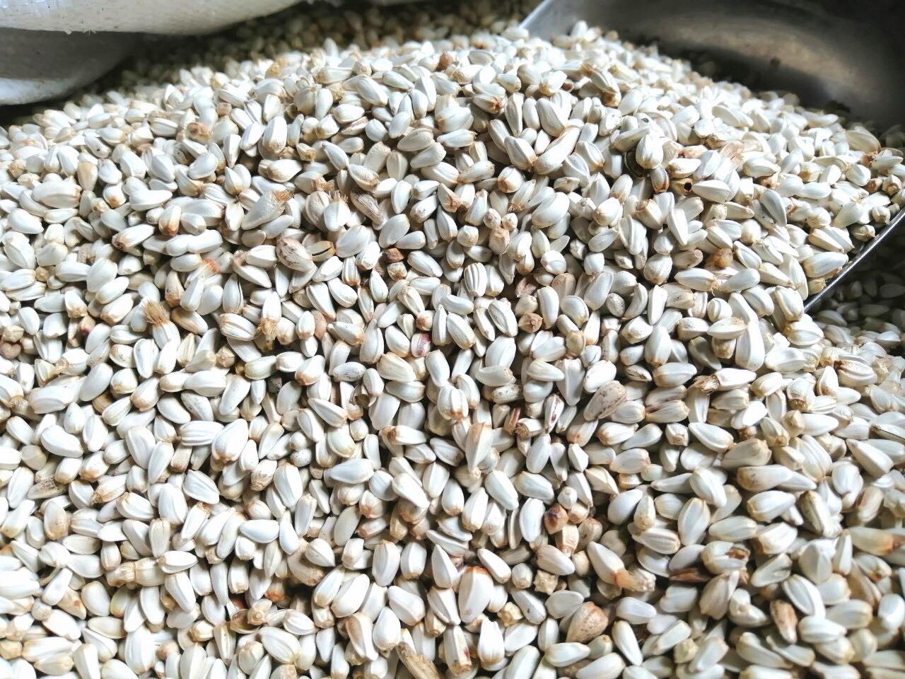 [HCM]Hạt Kham dành cho thú cưng (1kg) - Pet Food Store.