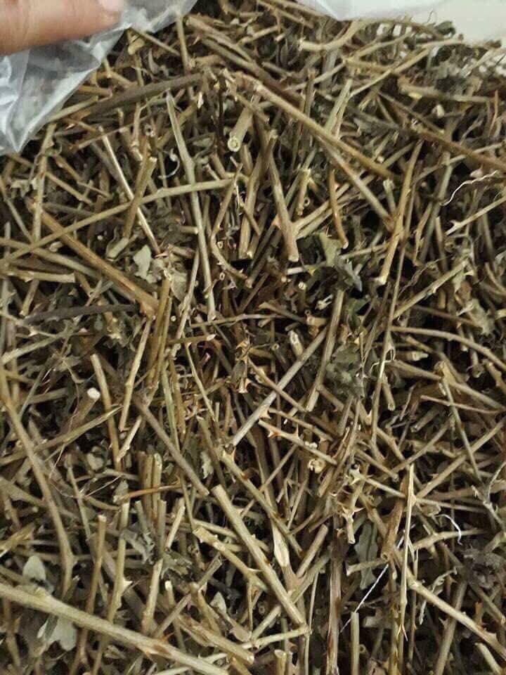 cà gai leo khô cao cấp 500g