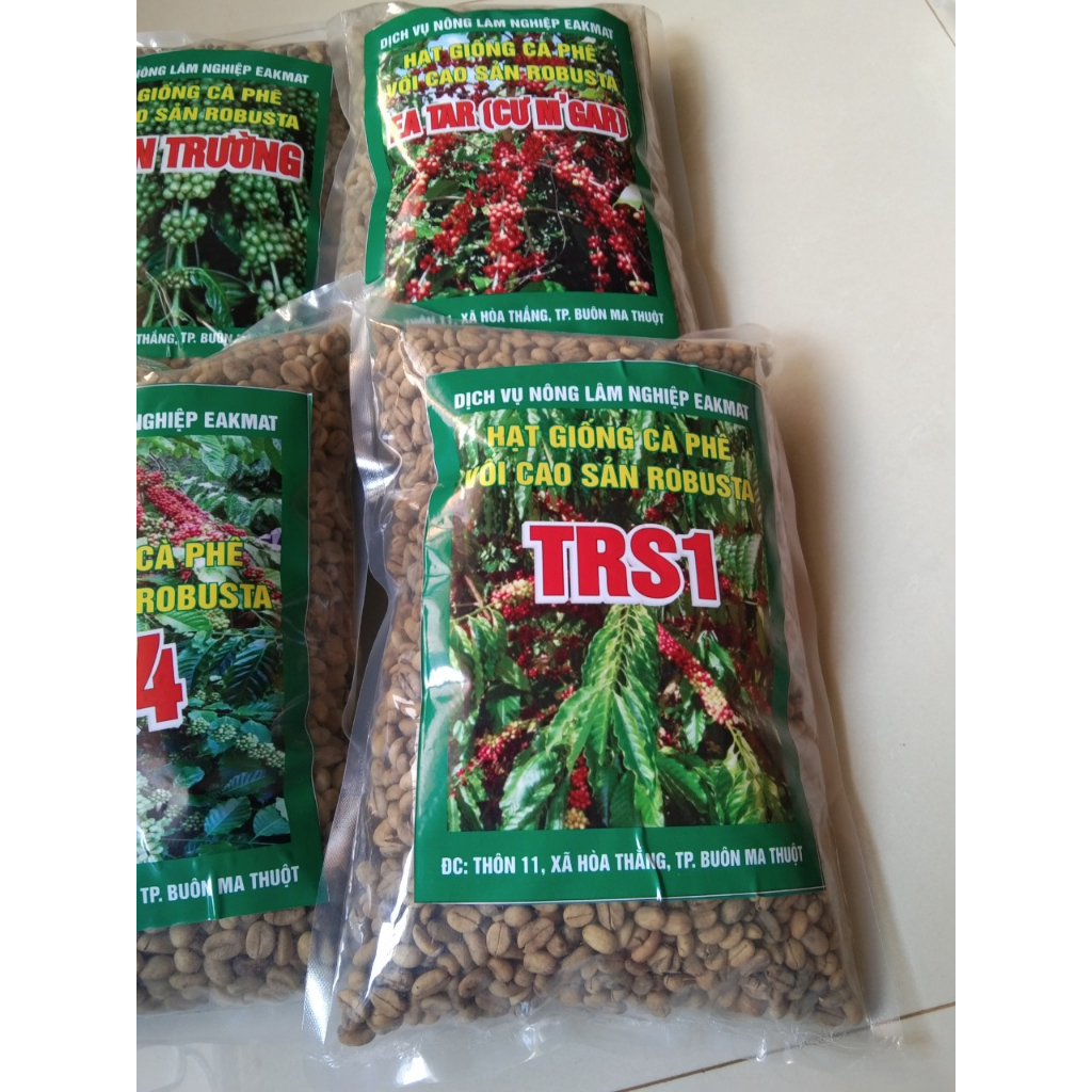 1kg HẠT Giống cà phê vối TRS1 (gói 1kg)