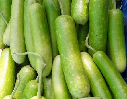 [HCM]Gói 2g hạt giống bầu sao F1