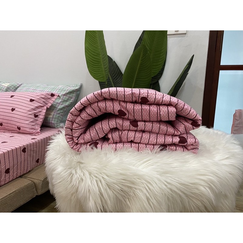 Trọn Bộ Chăn Ga Gối Hè Thu 5 Món Tim Kẻ