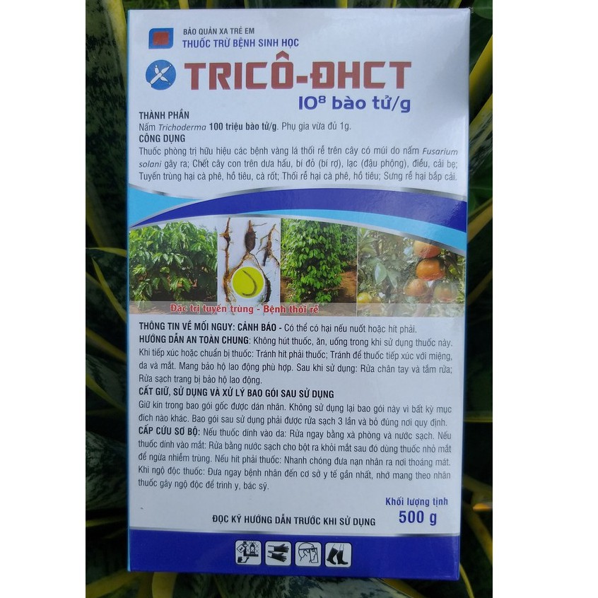 Nấm Đối Kháng Tricoderma TRICÔ ĐHCT - Thuốc Trừ Bệnh Sinh Học Nấm TRICHODERMA (500gr)