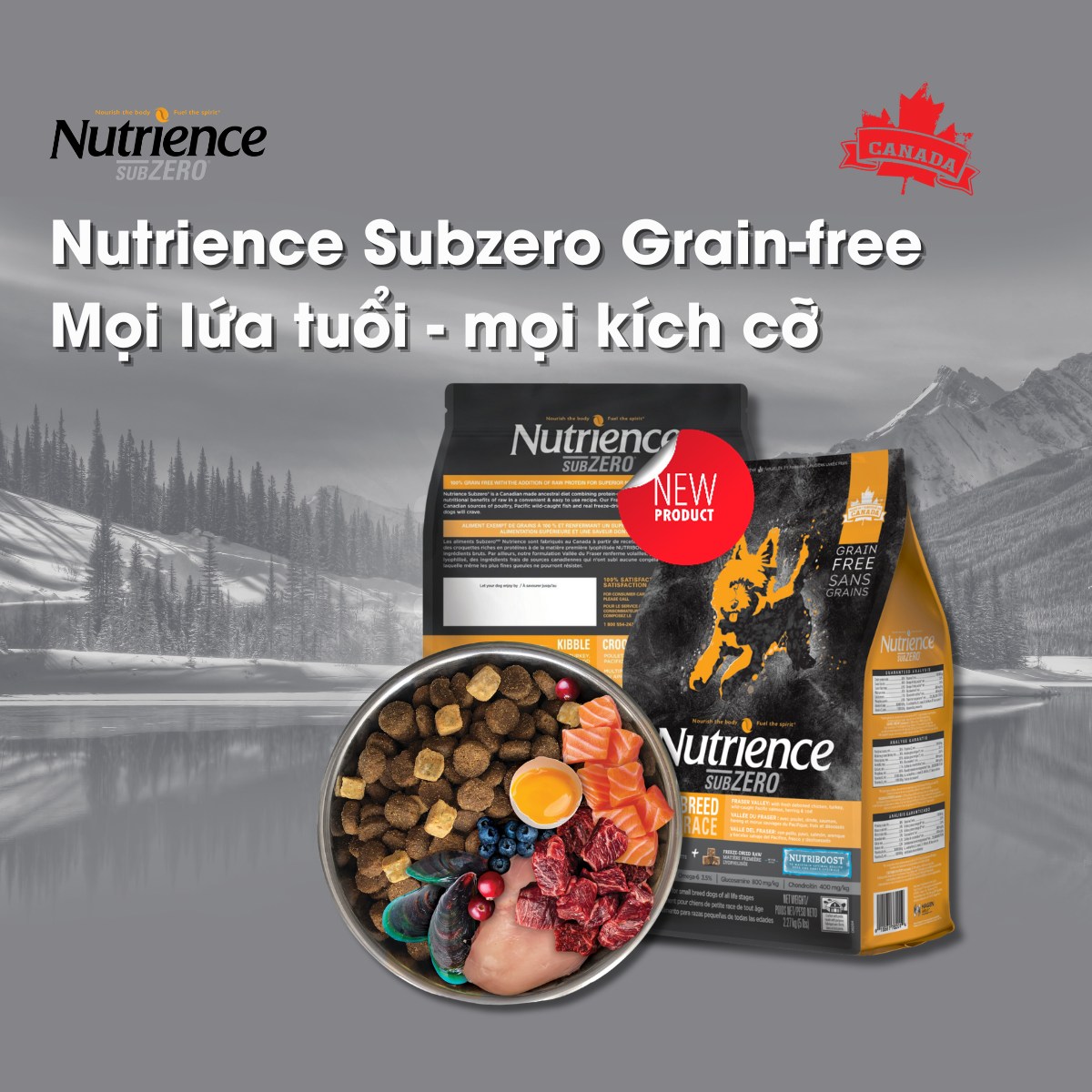 Nutrience Thức ăn chó Bao 500g