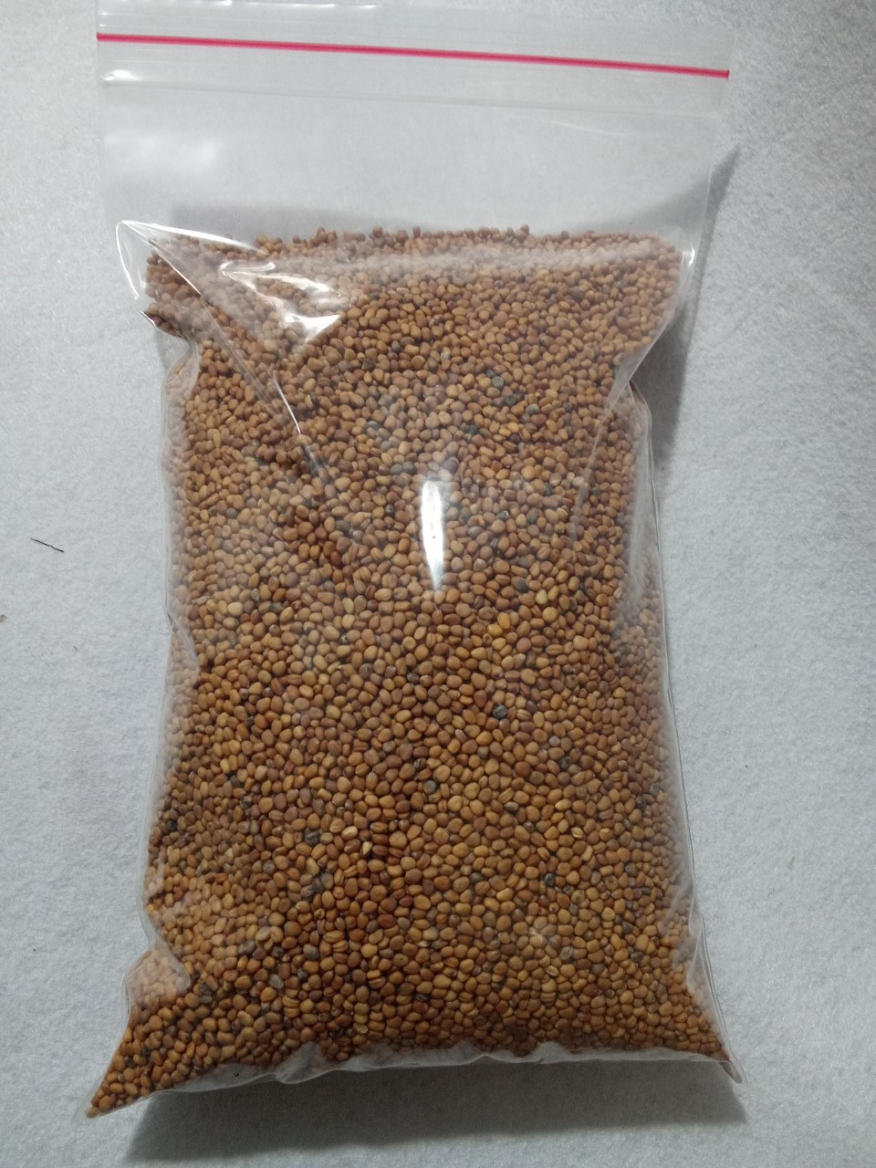 Hạt giống trồng rau mầm , 1 kg hạt giống củ cải đỏ chuyên dùng trồng rau mầm