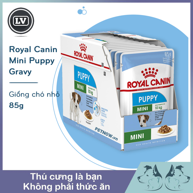 1 hộp 12 gói Thức ăn Pate cho dòng chó nhỏ dưới 10kg và dưới 10 tháng tuổi Royal Canin Mini Puppy 85g