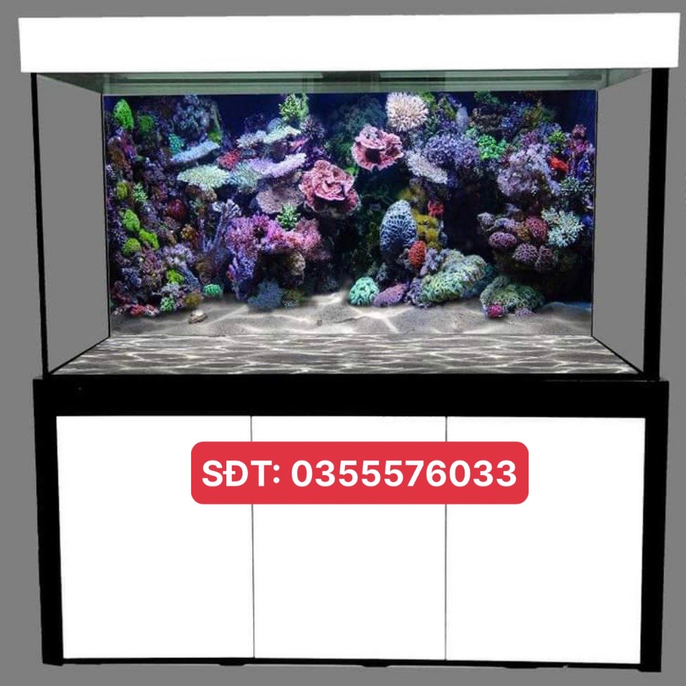 Tranh 3D dán hồ cá mẫu san hô siêu đẹp, tranh có keo sẵn trên bề mặt, có thể làm theo kích thước yêu cầu (mã AQB17-249)