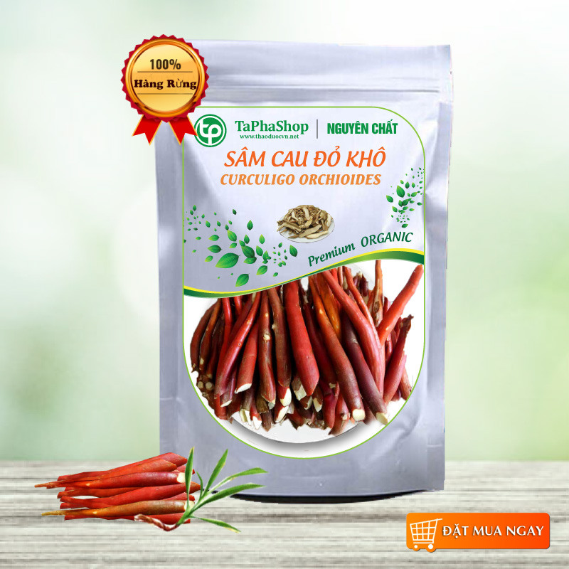 Sâm cau đỏ khô 500g - Dược tấn phát