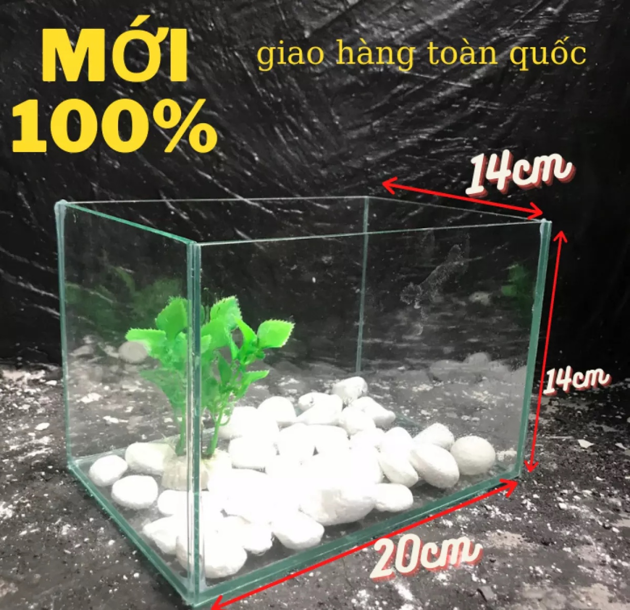 bể cá mini để bàn 20x14x14 kính 5li