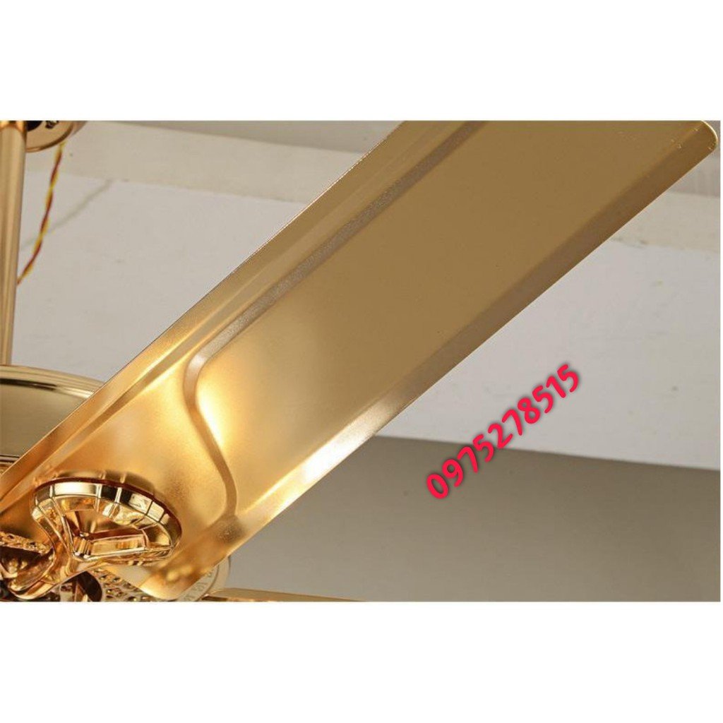 [Buy fan gift hook hanging fan and bundled balloon led] ceiling fan lamp Phoenix Động DC motor 2 way wind power saving function dehumidify winter