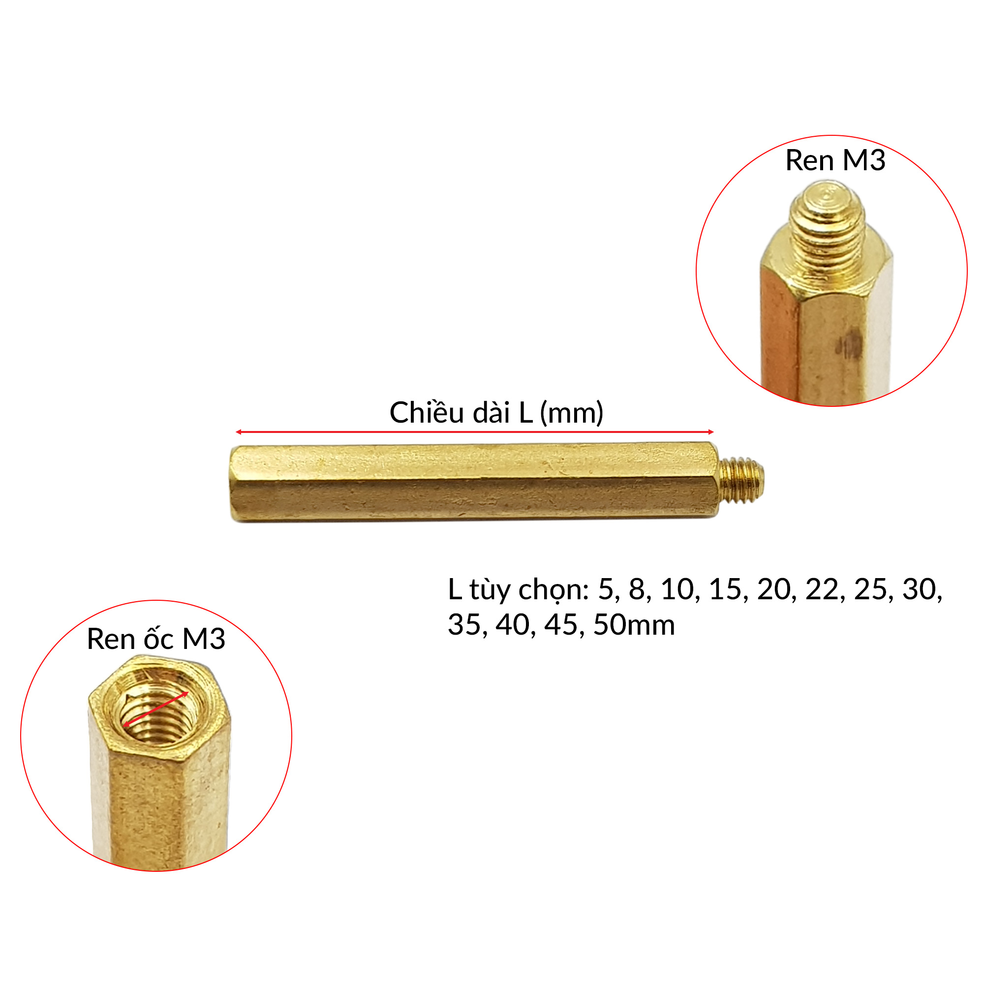 Trụ đồng đực cái M3
