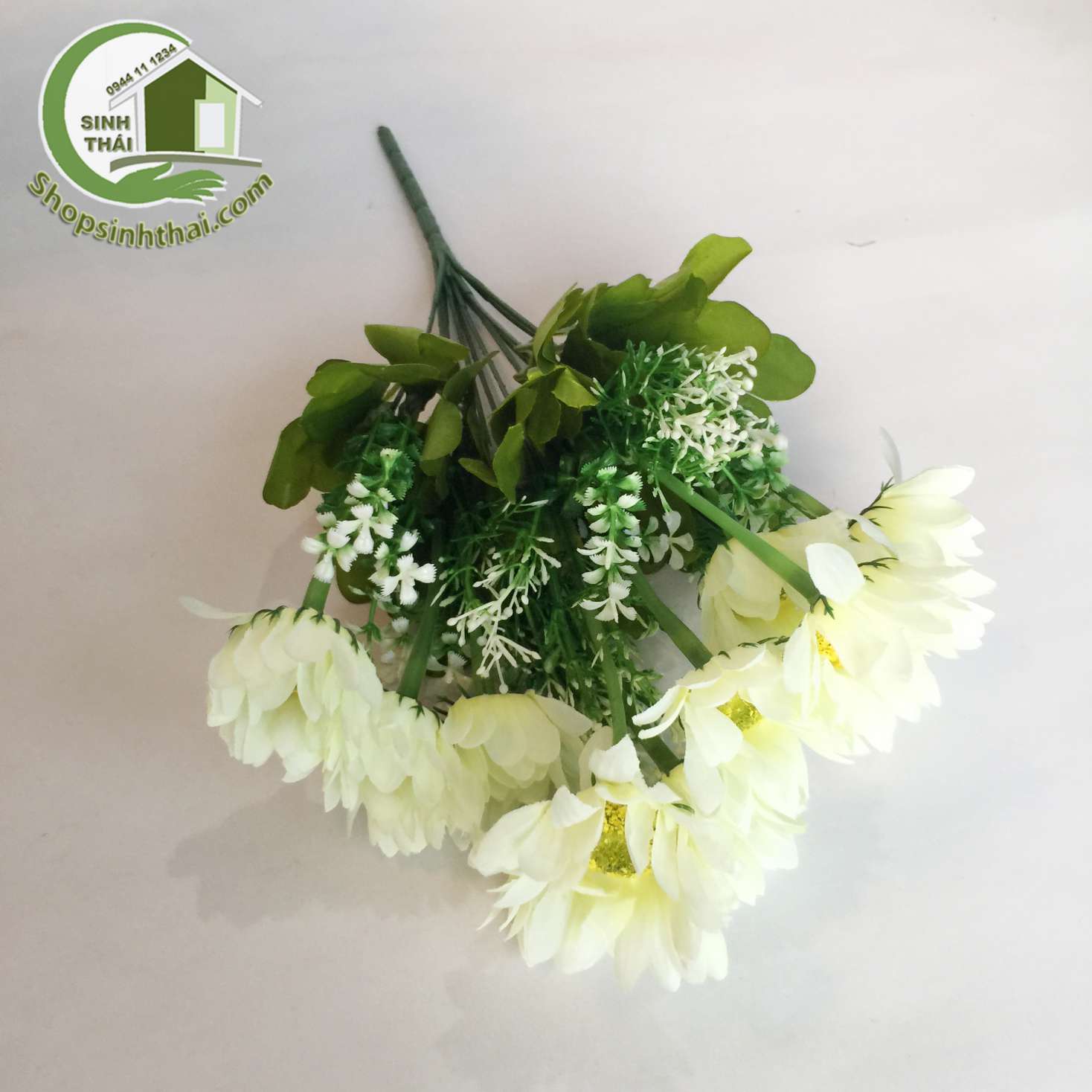 [HCM]Bụi hoa cúc thạch thảo màu trắng - bụi cao 38cm