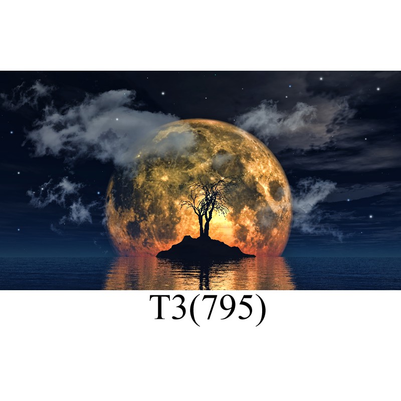[Tặng Đồ Dán+Sticker] tranh 3d bể cá