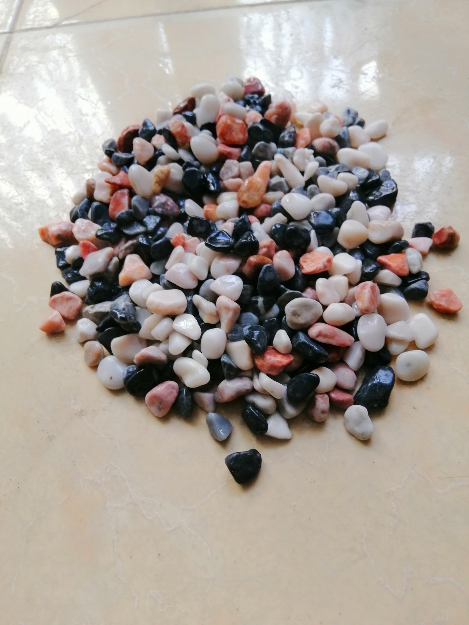 1 kg Sỏi 4 màu trang trí bể cá,sân vườn ,