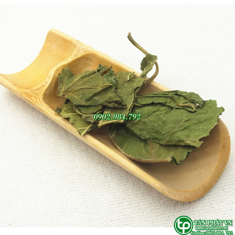 Lá dâu tằm sấy khô 500g - Tấn Phát