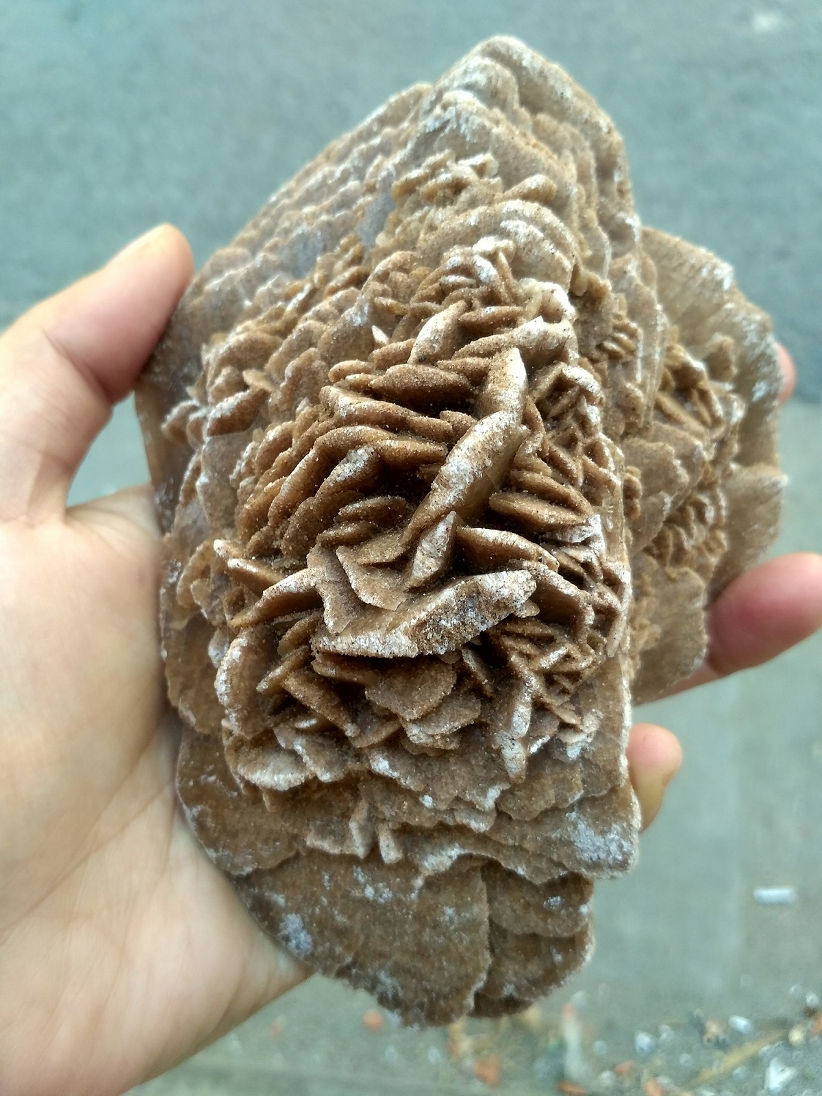 1 Viên Đá Hoa Hồng Sa mạc