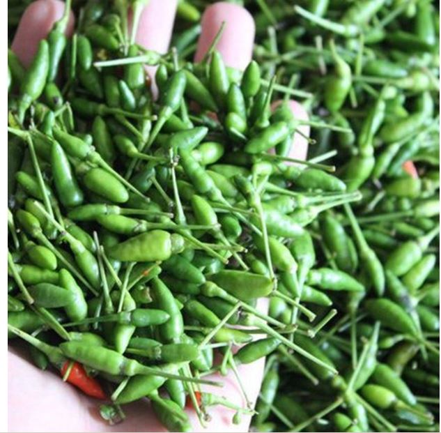 Hạt Ớt Xiêm Xanh - Gói 0.1 Gram