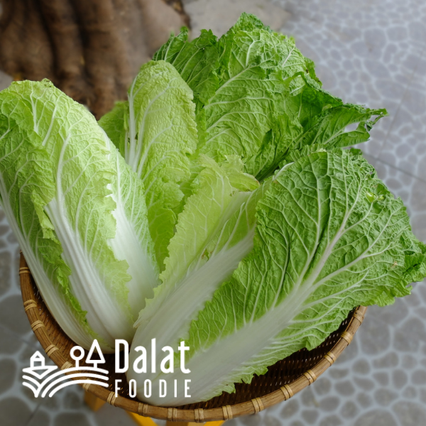 Cải Thảo 250G - [Giao hàng ngay tại TPHCM]