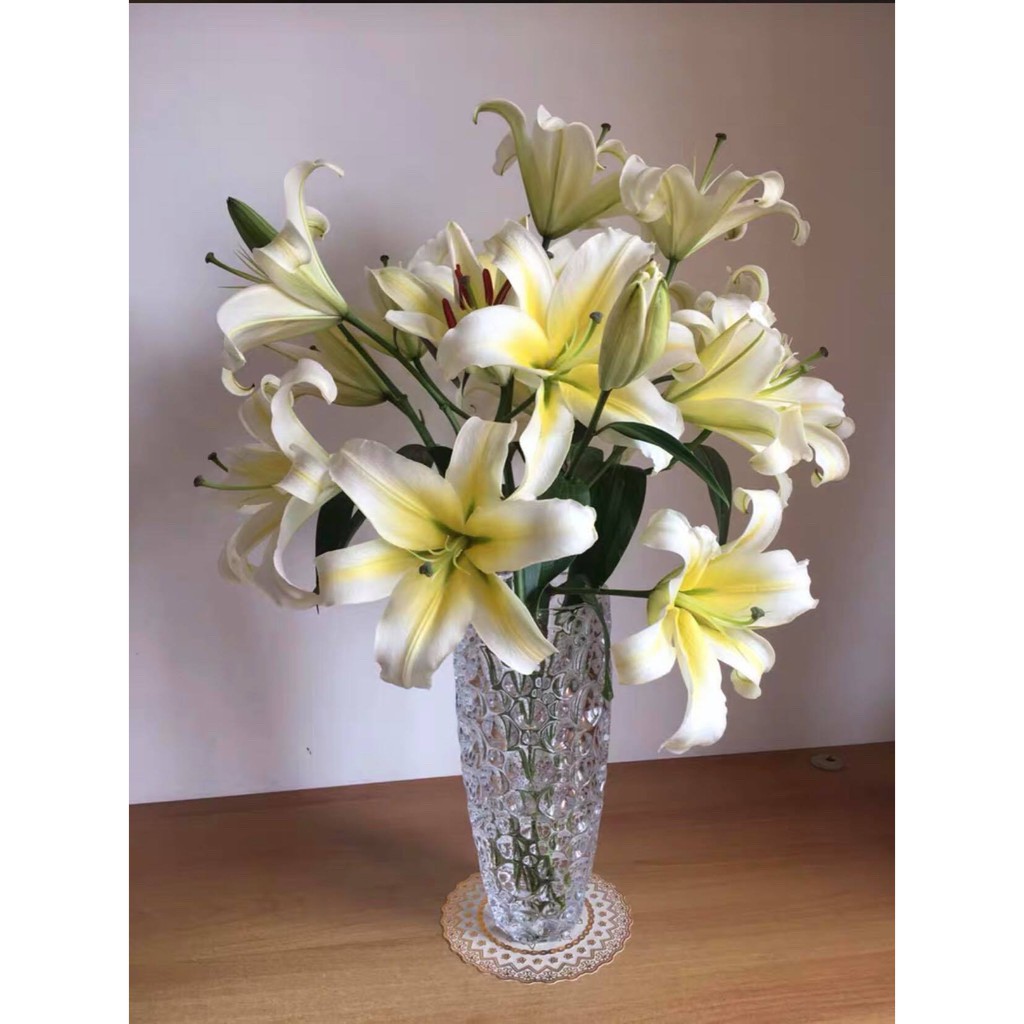 Lọ hoa thủy tinh chấm bi 30cm DELISOGA
