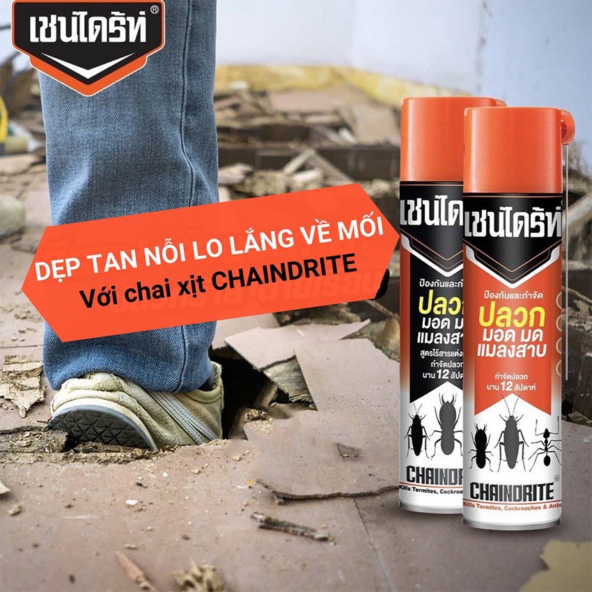 Bình xịt diệt Muỗi/Gián/Kiến/Côn trùng ARS - Chaindrite 600ml