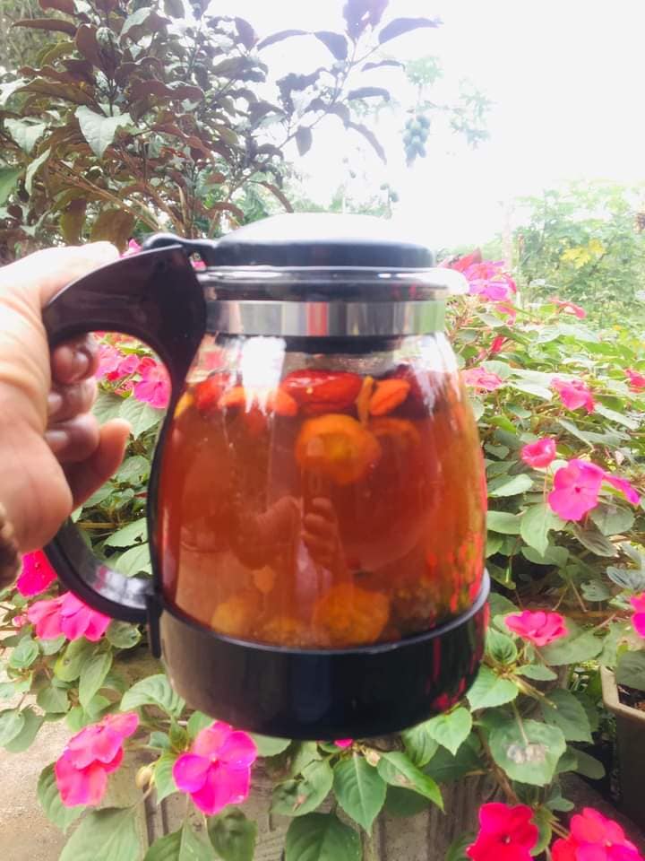 Trà Lipton Xí Muội Thảo Mộc